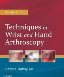 Techniques In Wrist And Hand Arthroscopy 2Nd Edition
