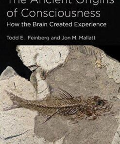 The Ancient Origins Of Consciousness How The Brain Created Experience