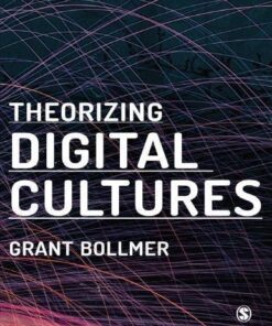 Theorizing Digital Cultures