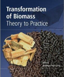 Transformation Of Biomass Theory To Practice