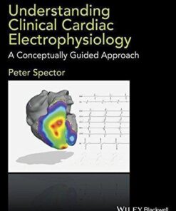 Understanding Cardiac Electrophysiology A Conceptually Guided Approach